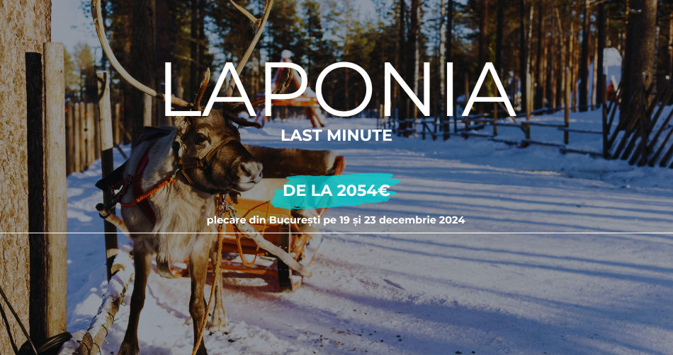 Craciun  - OFERTA LAPONIA